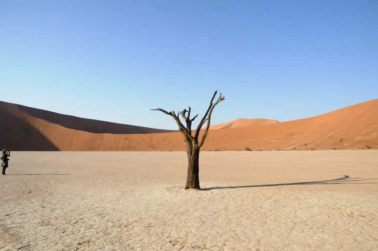 Dunes and trees at Deadvlei · Namibia · Andrea Bellati